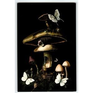 Photochrome Postcard White Butterflies on Mushrooms with Lantern Art